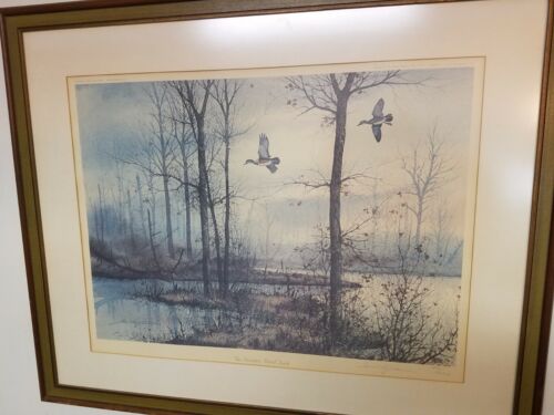 Estampado de Colección David Hagerbaumer: The Narrows - Wood Duck 1971 235/450 firmado 33 x 27 - Imagen 2 de 10