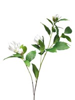 Artplants KüNstlicher Zweig Magnolie Huaner, Weiß, 130 Cm