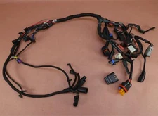 2009-2021 Harley Davidson Iron 883 XL883N Main Wire Harness Wiring Loom