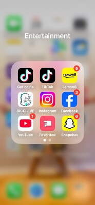 I Phone 14 Plus Blue 128  Tik Tok Installed Unlocked 