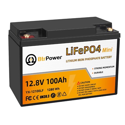 12V 100Ah Battery LiFePO4 Lithium for RV Marine Solar Golf Cart System 100A BMS