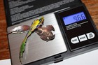 #52 Exqusite large sterling silver mark enamel art studio artist bird earrings — photo 3