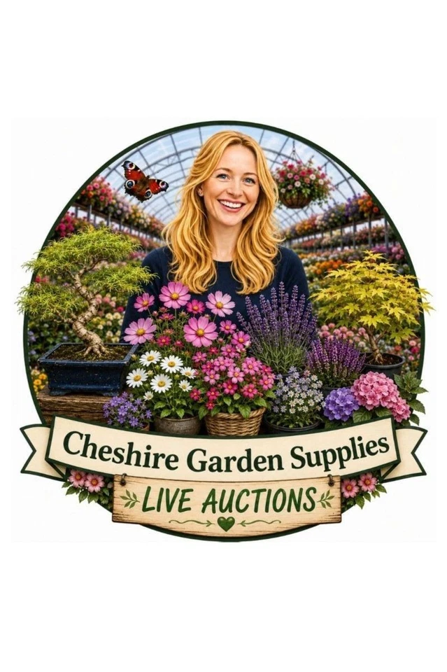 🌿Perennials & Annuals 🌿💚 Outdoor Bonsai Available ! 💚Giveaways !!!!💚