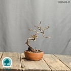 Bild 16 von 17