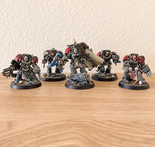 Warhammer 40k Space Wolves - Painted Wolf Guard Terminators - Item 306-5