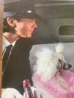 Rick Springfield 1982 Success Hasn’t Spoiled Me Yet Promo Poster  Ronnie — photo 4
