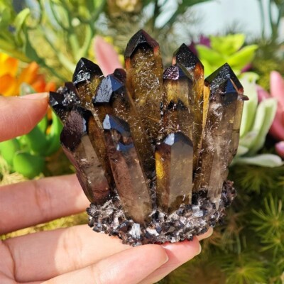 300-400G New Find Large Smoky Quartz Crystal Healing Cluster Rocks Specimens