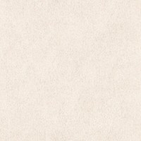 Rasch Vliestapete African Queen 3 Felloptik 423204