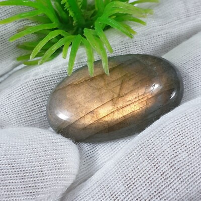 Natural Labradorite Golden Colour Fire Oval Shape Cabochon Loose Gemstone 39 Crt