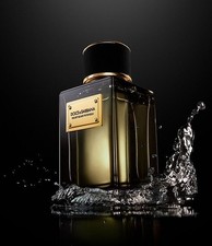 Velvet Infusion Dolce&Gabbana 香水 - 2024年のユニセックス 新着