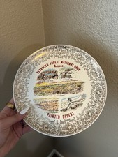 Vintage Arizona Petrified Forest National Park Plate, Aprox. 9in Across
