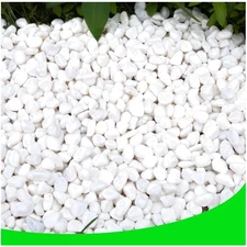 Natural White Stones for Plants - 18 lb Decorative Gravel Ideal for DIY Projects