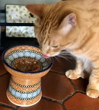 Raised Cat Small Dog Polish Pottery Dry Wet Dish Bowl KLDK Ginger Orange