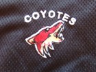 "Arizona Coyotes" Black NHL Coolest Sport Stretch Pocket Shorts Men's (5XL) NWOT — photo 1