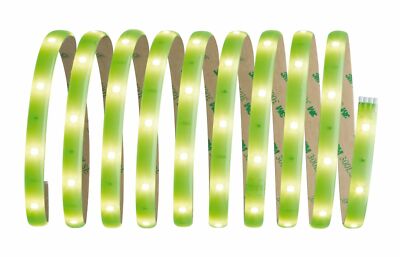 Paulmann Function YourLED Basisset DECO 3m Neon Green WW 7,2W 230/12V 18VA Weiß