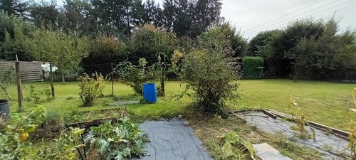 Baugrundstück 500 qm Privatsphäre in Toplage, erschlossen, provisionsfrei - Bild 8 von 18