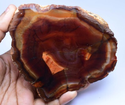 1784.0CT Natural Condor agate specimen, from San Rafael, Mendoza
