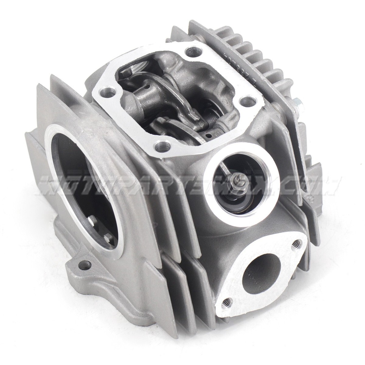 Cylinder Head Assembly for 110cc Zongshen Engine Dirt Bike Zuma