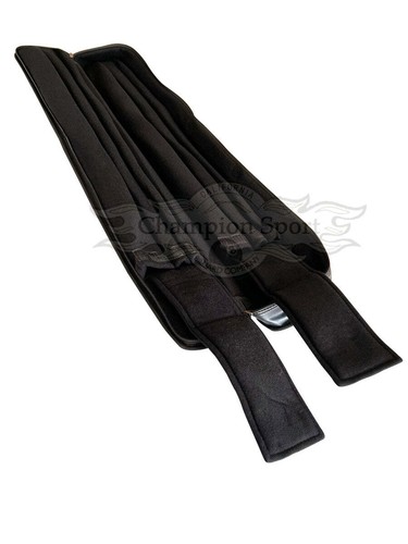 Champion leatherette Cue Case Cue bag 2x4 Holds 2B and 4S Pool Cue Sticks - Picture 5 of 5