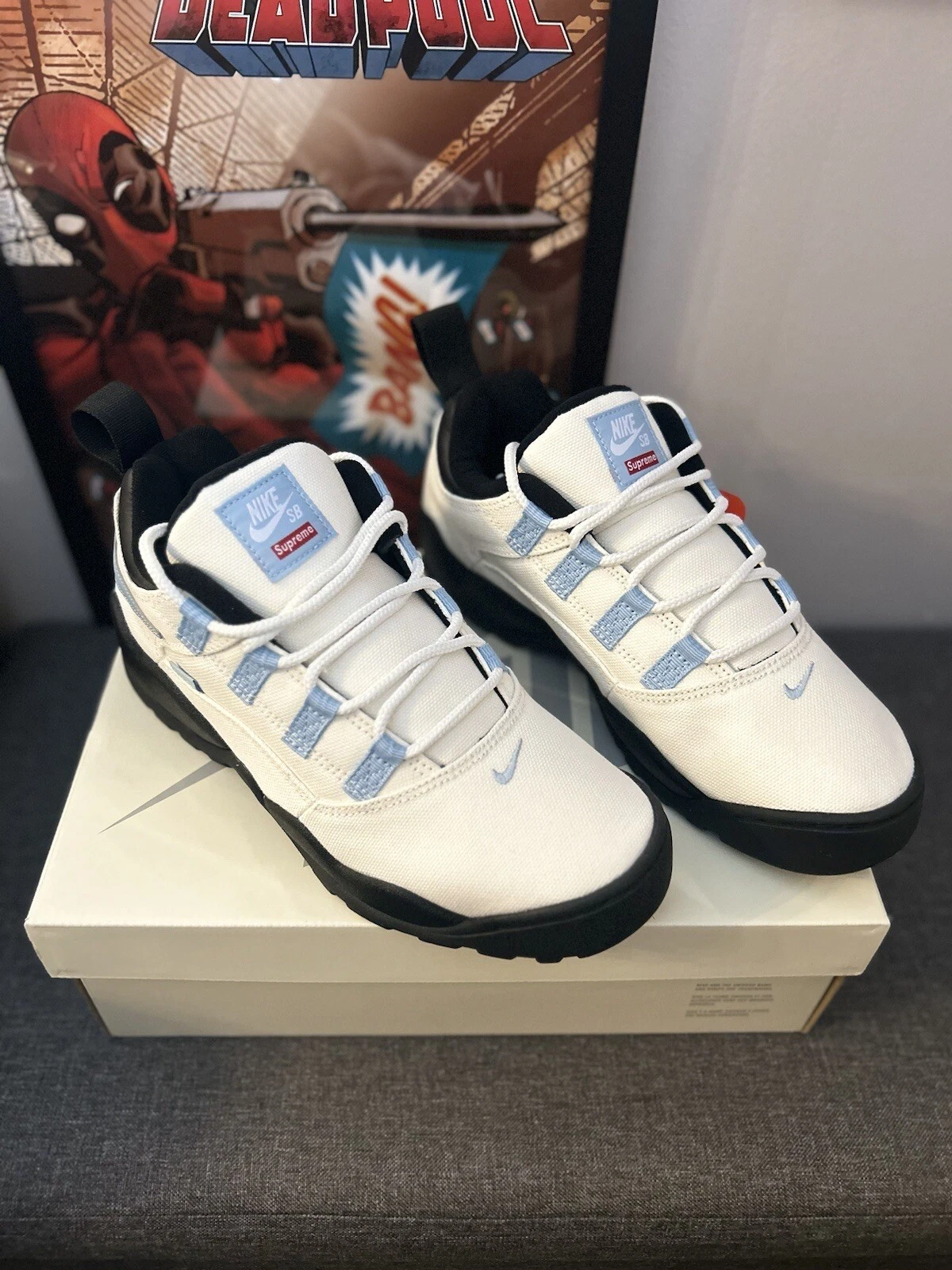 Taille 7,5   Nike Supreme x Darwin SB voile basse   DS✅