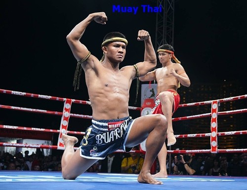 Twins Head guards Boxing Helmet MMA Muay Thai Training Black HGL-3 Made TH, M-XL - Picture 7 of 10