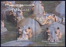 Malawi - 2009 postfrisch Block mit 1 Nilpferd Briefmarke -748 c.v. 5.75
