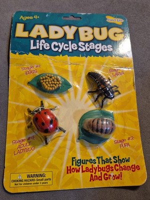 Insect Lore Ladybug Life Cycle Stage 4pc Plastic Toy Figure Set Life Of Lady Bug