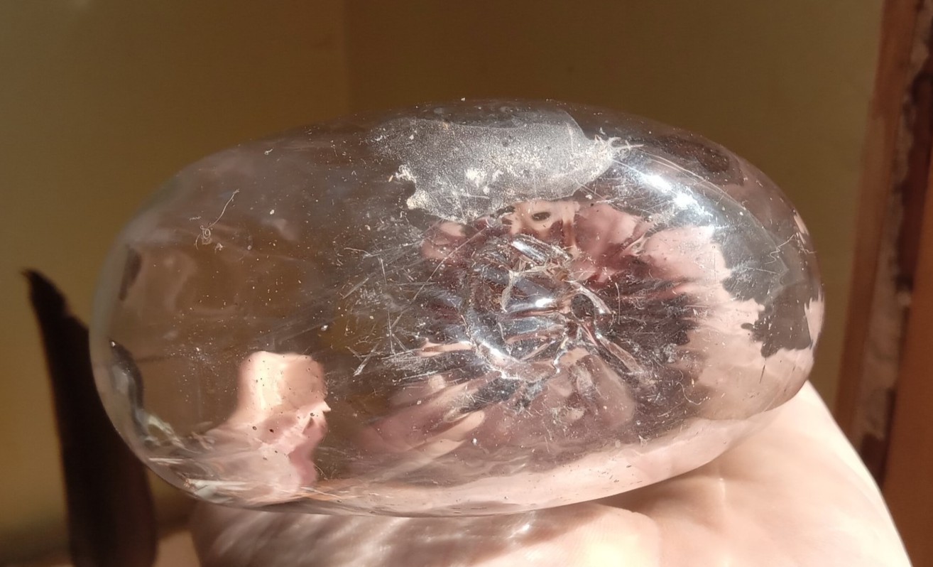 Picture 7 of 12