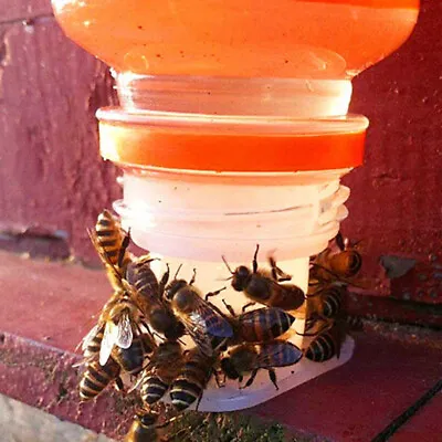 Acheter 10PCS Bee Water Feeder Bowl Drinker Fontaine à Boire Eau Apicole Equ Qcs