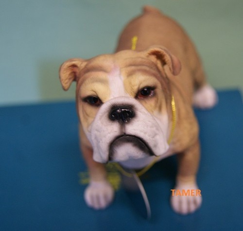 Dog Ornament Figure Gifts Statue BNIB Staffy Yorkie Westie Pug Shih Tzu Bulldog - Picture 22 of 117