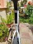 Bild 3 von 10