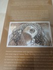 Bild 11 von 16
