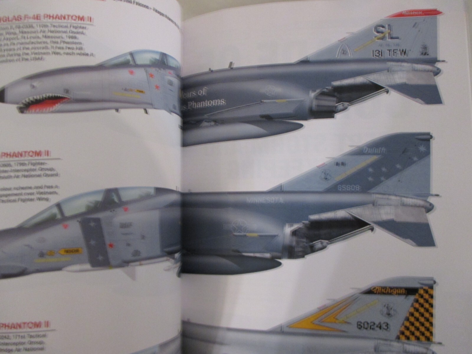 Air National Guard Jet Fighters - more than 150 color profiles