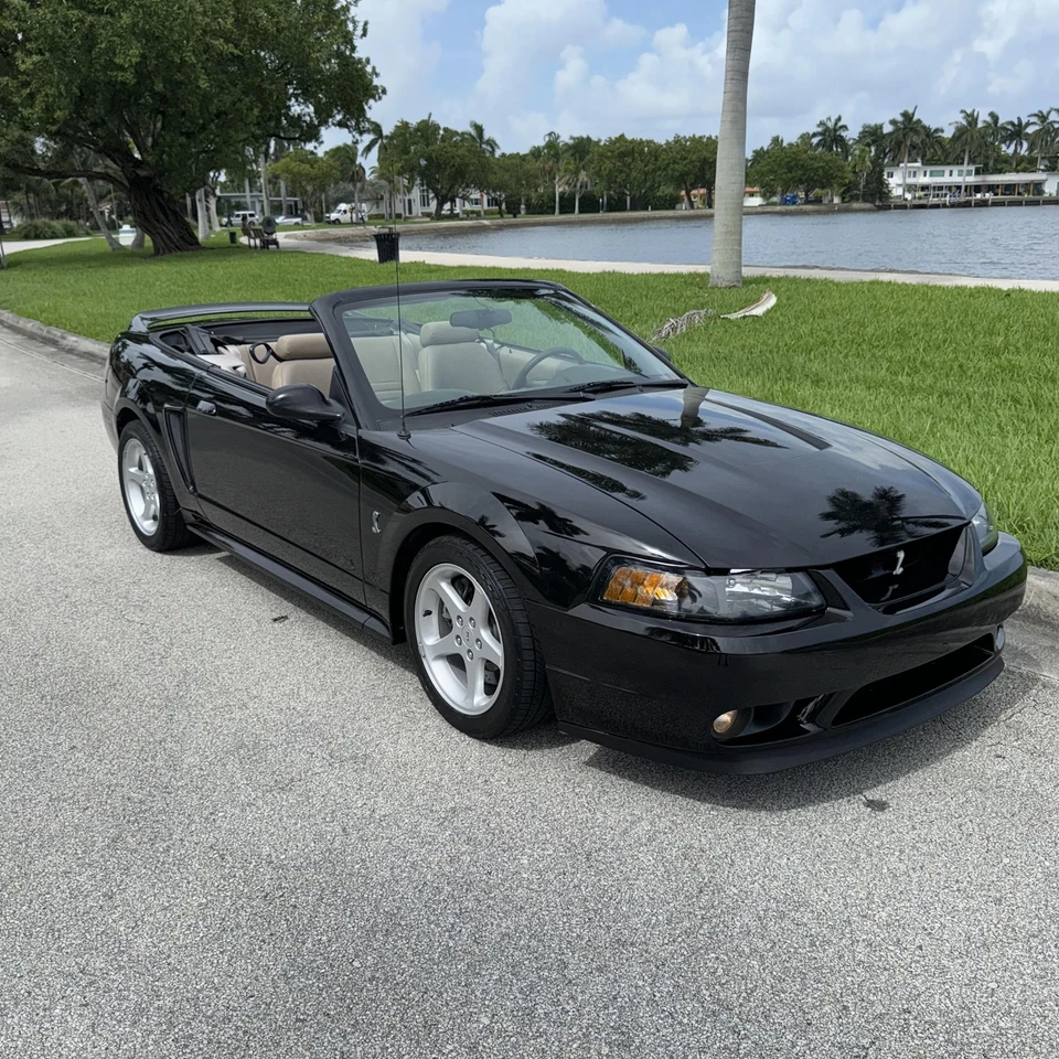 1999 年福特野马 SVT COBRA 可转换清洁 CARFAX 85K 英里 — 第 2/4 张图片