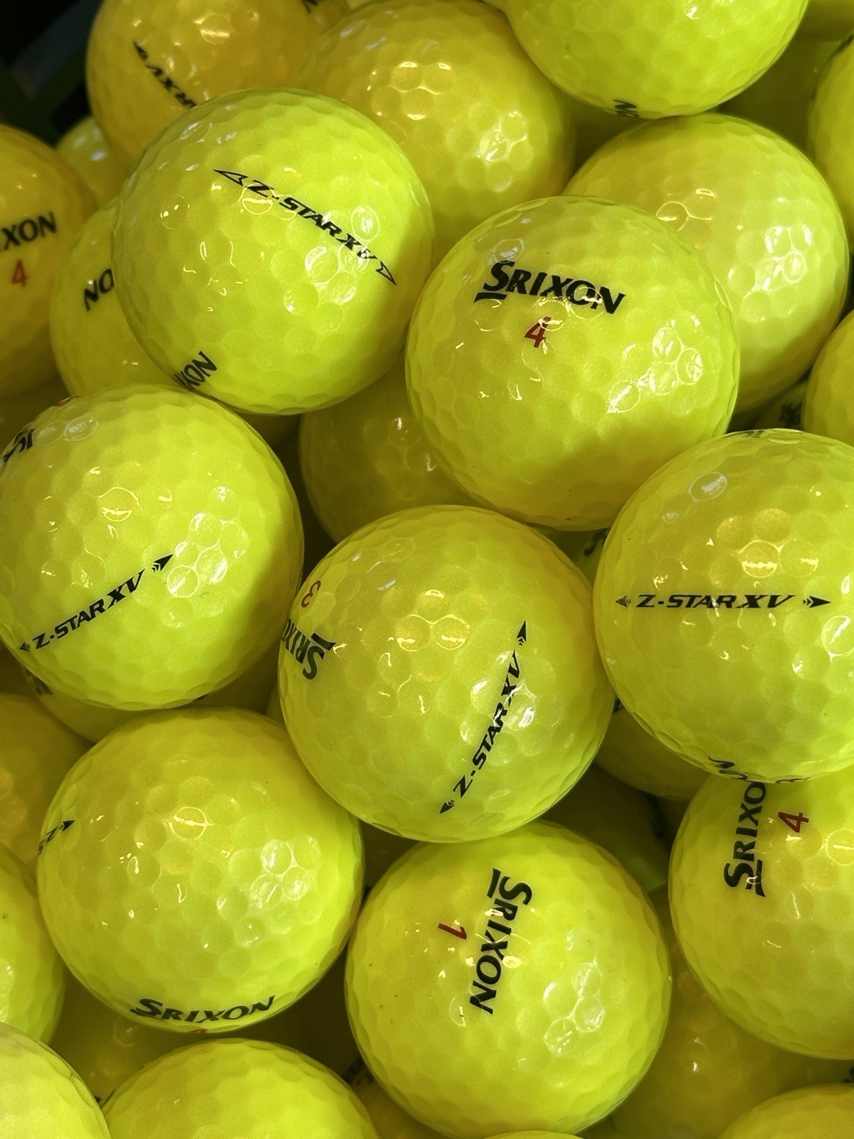 Ball - Free Shipping!