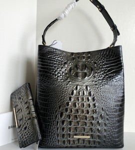 large amelia brahmin