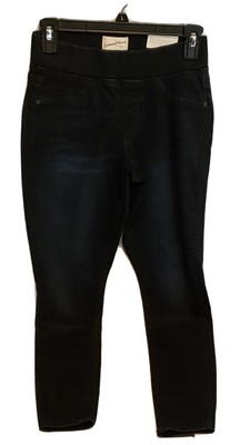 lane bryant venezia jeggings