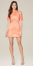 Bebe Choker Lace Dress