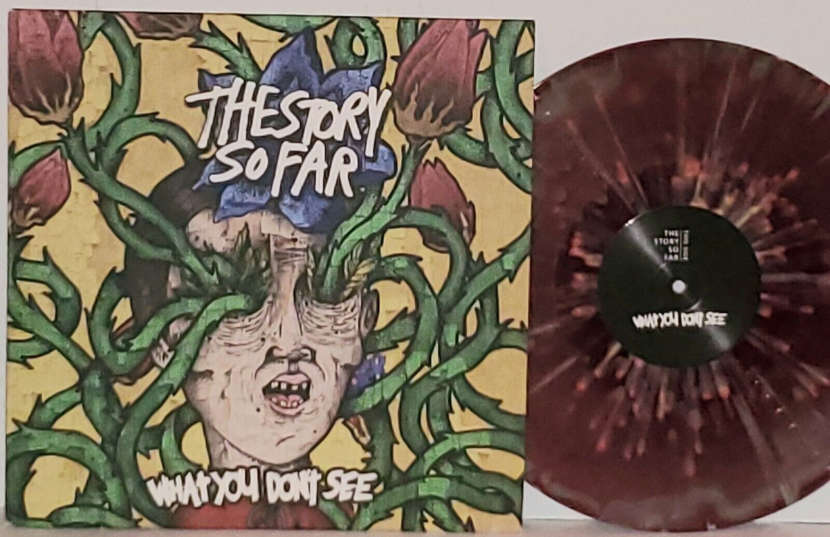 THE STORY SO FAR What You Don't See Oxblood Purple Olive LP VG+