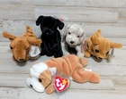 Beanie Babies Lot Of 5 Dogs - Vintage - Wrinkles,Tiny,Weenie,Luke,Tricks