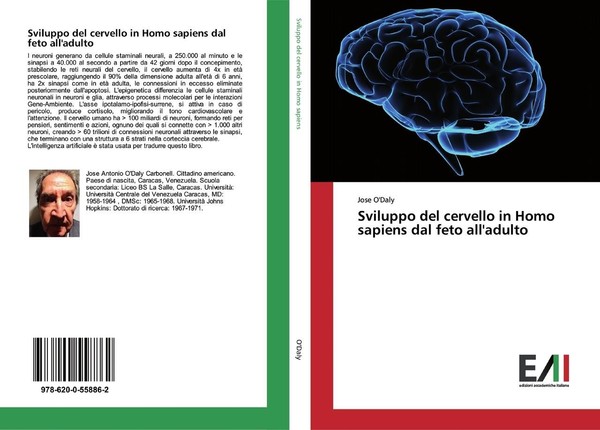 Sviluppo Del Cervello In Homo Sapiens Dal Feto All'adulto Jose O'daly-image