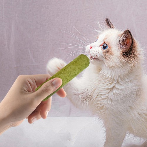 5pcs/pack Cat Kitten Chew Sticks Natural Grass Stick Natural Hairball Removal - Picture 9 of 9