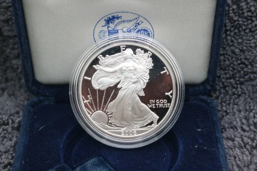 2006 WALKING LIBERTY AMERICAN EAGLE .999 FINE SILVER DOLLAR COIN 1oz. $1 USA