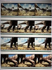 12 Trex  Close Up 70mm IMAX Film Cells  Dinosaurs DC 1-4