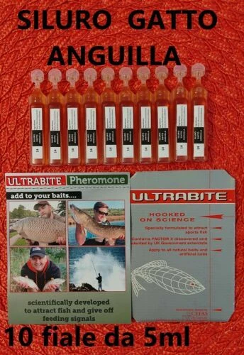 Attrattivi pesce gatto per la pesca