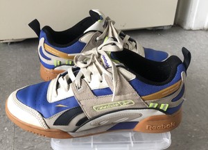 reebok alter the icons