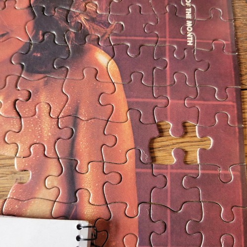 Very Rare 1972 Playboy Playmate Centrefold Puzzle Miss July - Picture 7 of 7