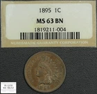 1895 Indian Head Copper Cent 1C (Cracked Out) Ex-NGC MS 63 BN