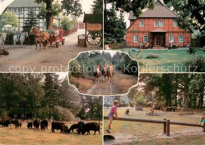 Sprakensehl pension under the oak horse carriage rider cattle pasture children's play pla