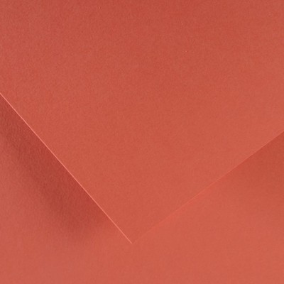 10 Pack - Canson Colorline Sheet 19.5''X25.5''-Coral - 5A00367D-1H7CP